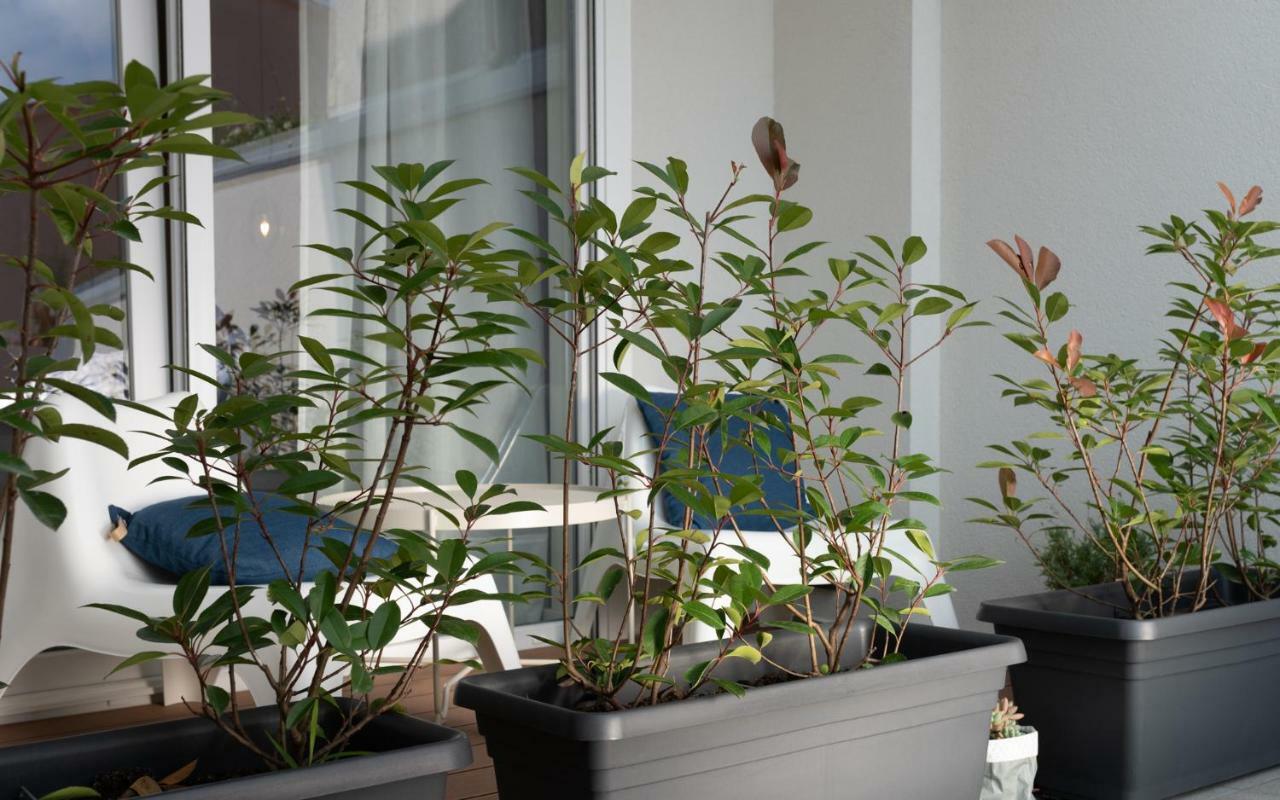 Apartment Profondo Pula Dış mekan fotoğraf
